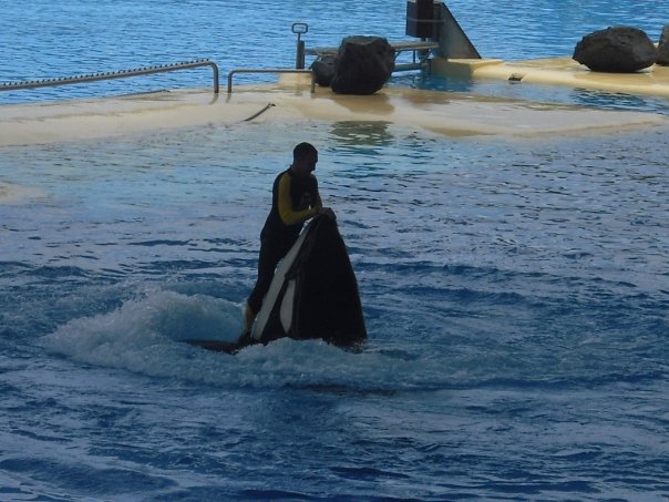 Penguin or wildlife experience in Tenerife — Two for the Row'd